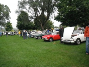 Some of the cars lined up for concours judging